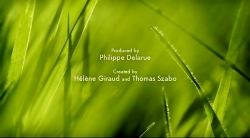 خیلی خیلی کوچک (2) (تار عنکبوت بازی)